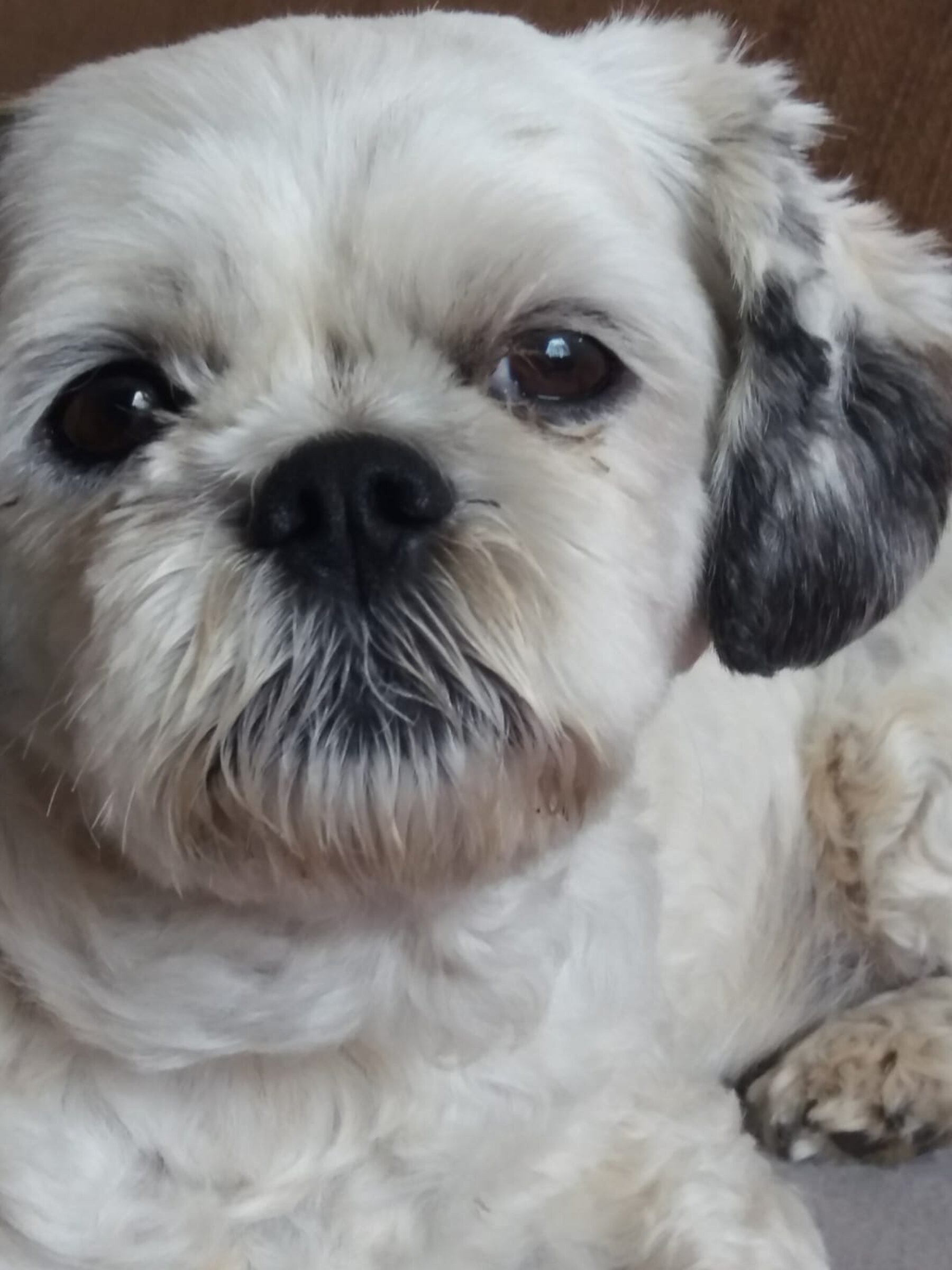 Zoom in IMG 20180808 WA0000