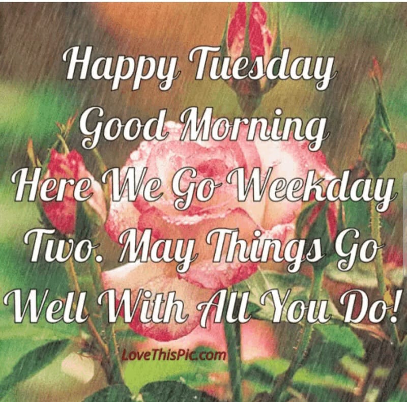 Tuesday