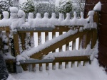Hekje met sneeuw