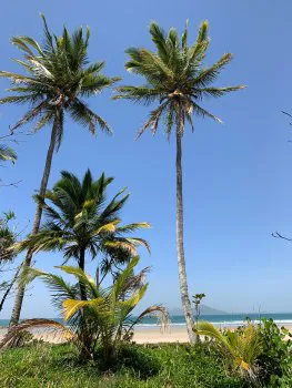 IMG 20190908 WA0002