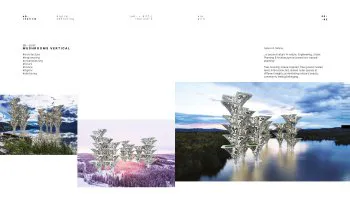 Page 44-45