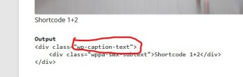wp-caption-text