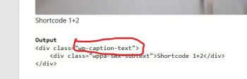 wp-caption-text