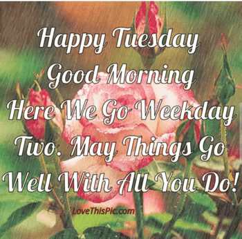 Tuesday